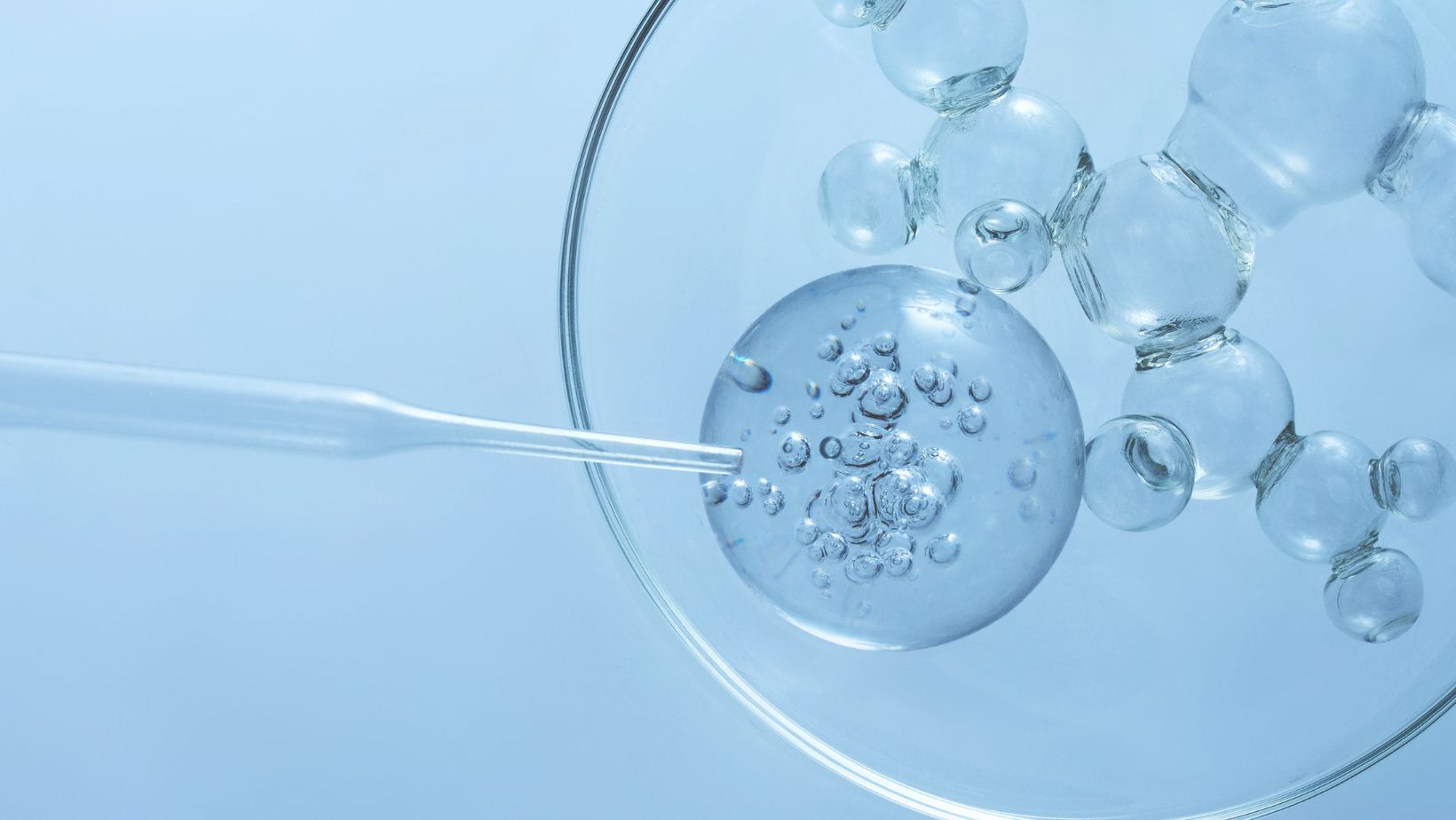 Exosomes vs. Stem Cells vs. Extracellular Vesicles: What’s the Difference?