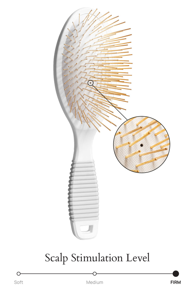 <h2>Your Gua Sha Brush</h2>