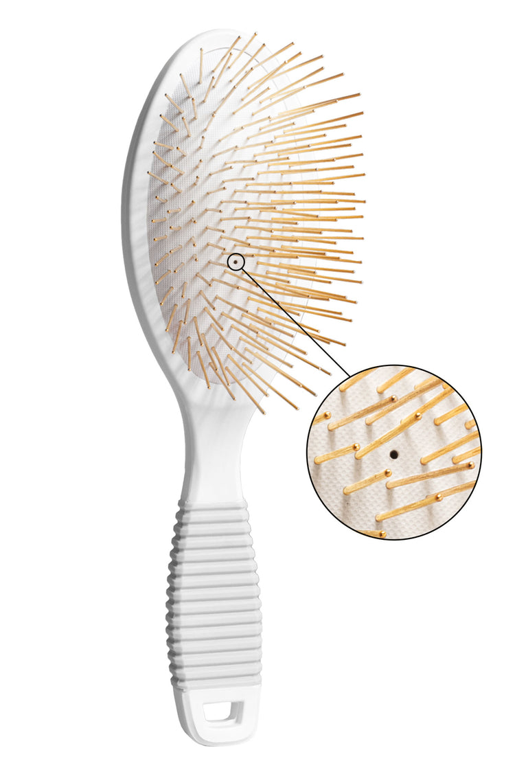 <h2>Your Gua Sha Brush</h2>