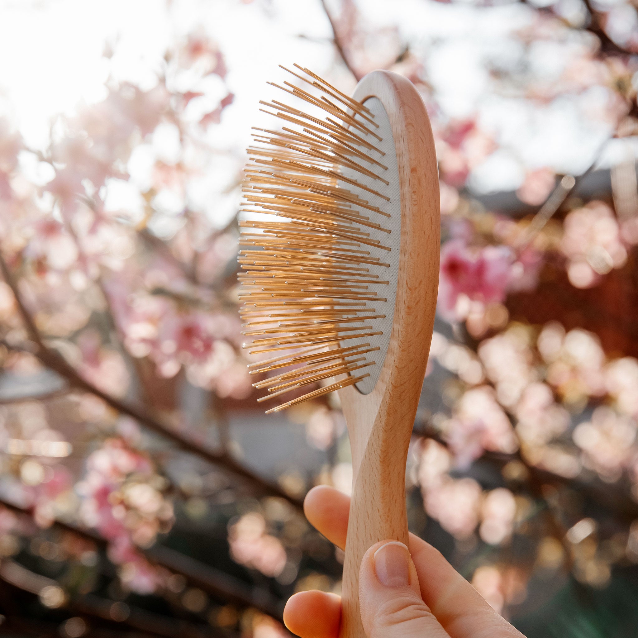 Wooden Snow Fox Skincare gua sha brush with 24k gold-plated needles with cherry blossoms in background