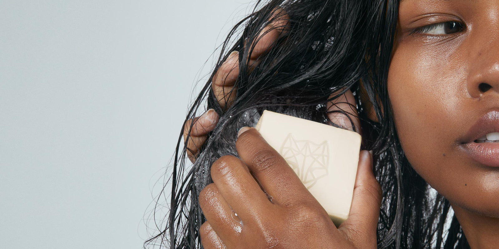 Shop All – Snow Fox Skincare