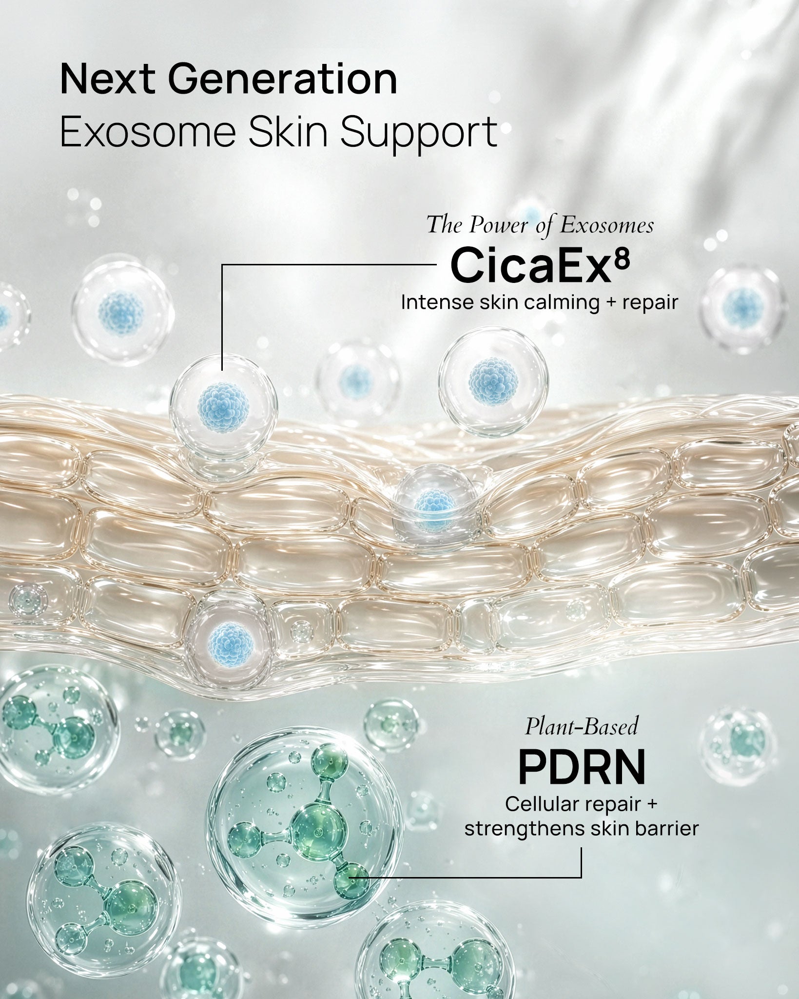 Illustration of skin cells with exosomes and text about CicaEx⁸ and PDRN for skin repair.