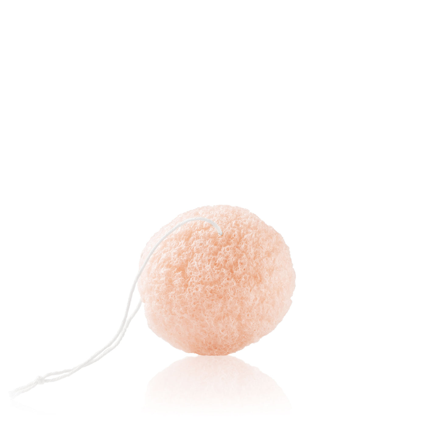 Tōhoku Konjac Sponge