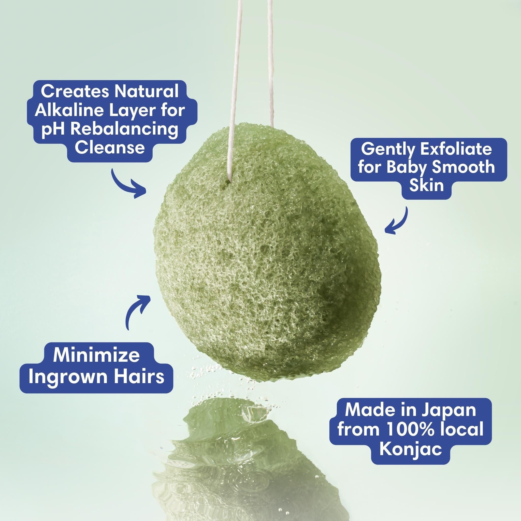 Tōhoku Konjac Sponge