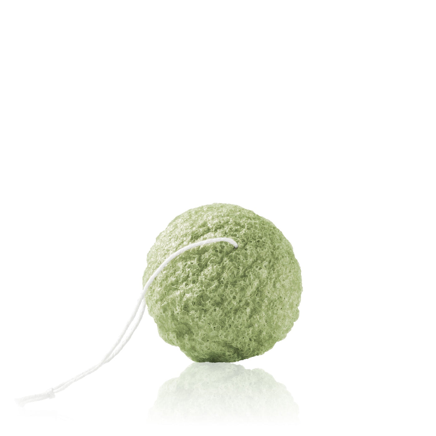 Tōhoku Konjac Sponge