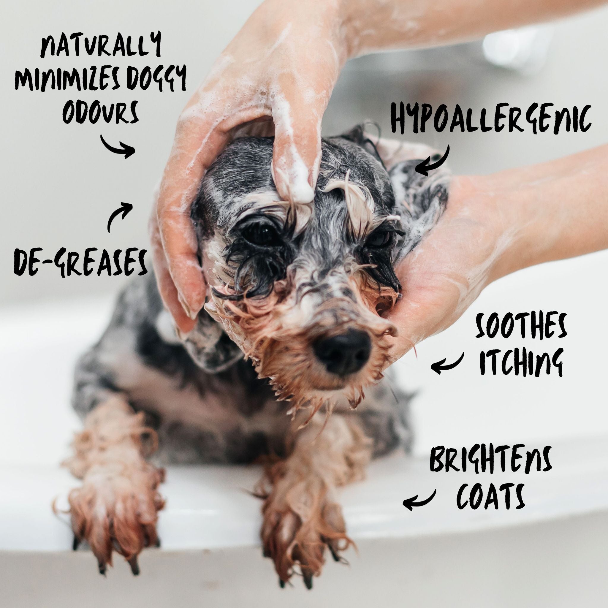 Pet Pals Sensitive Skin Shampoo & Conditioner Bar