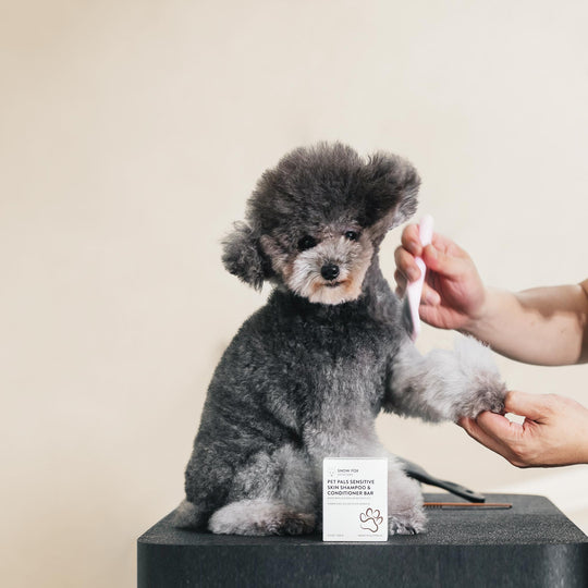 Pet Pals Sensitive Skin Shampoo & Conditioner Bar – Snow Fox Skincare