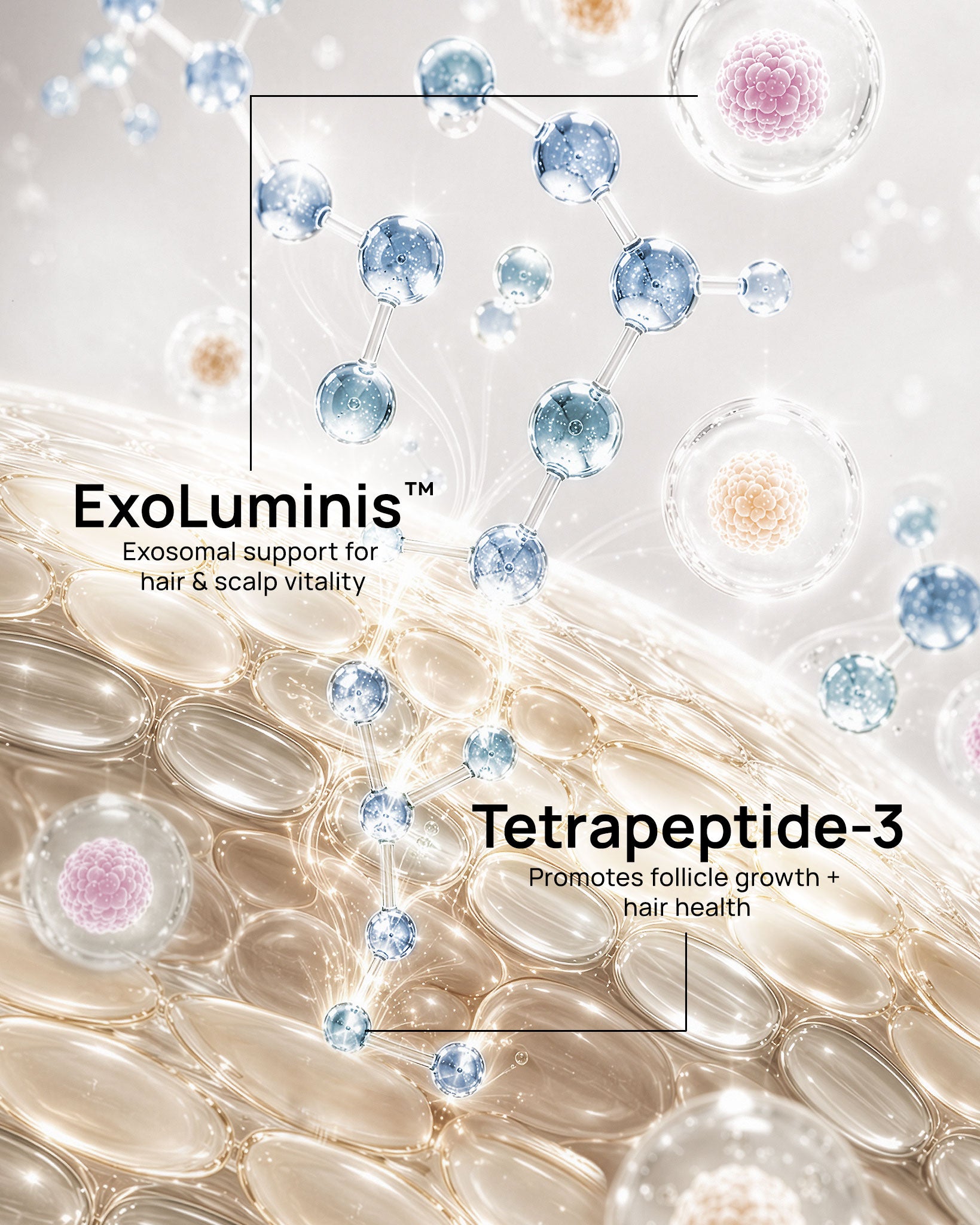 Tetrapeptide Hair & Scalp Serum