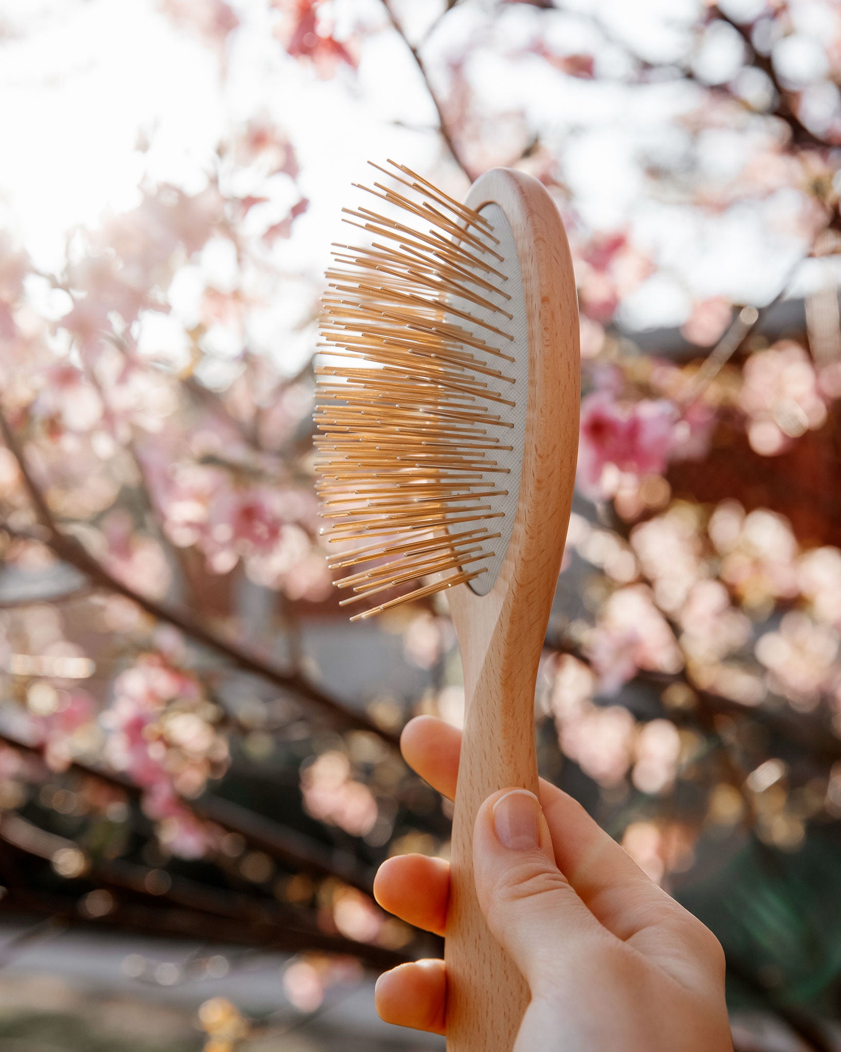 Wooden Snow Fox Skincare gua sha brush with 24k gold-plated needles with cherry blossoms in background