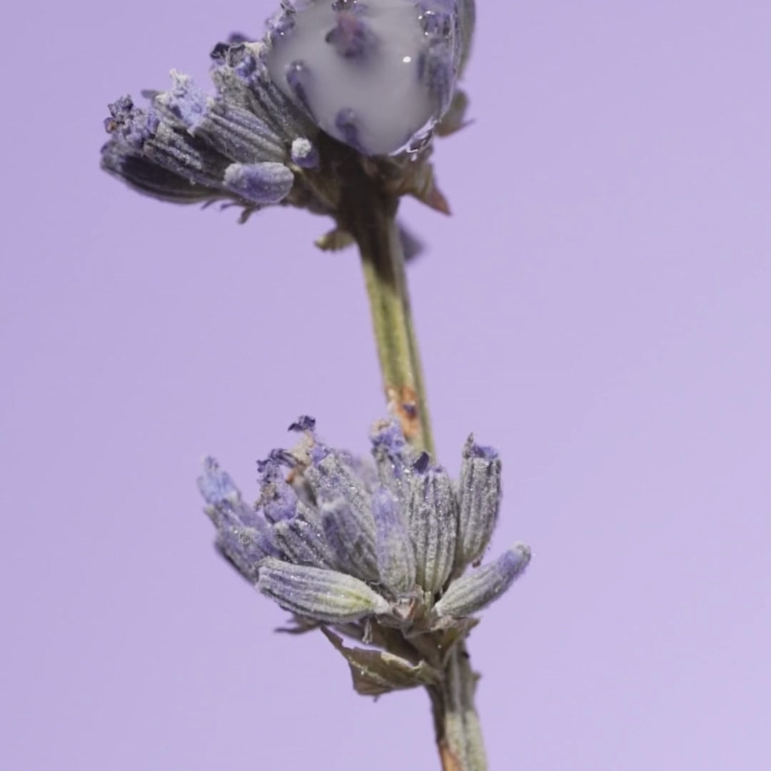 French Spring Set