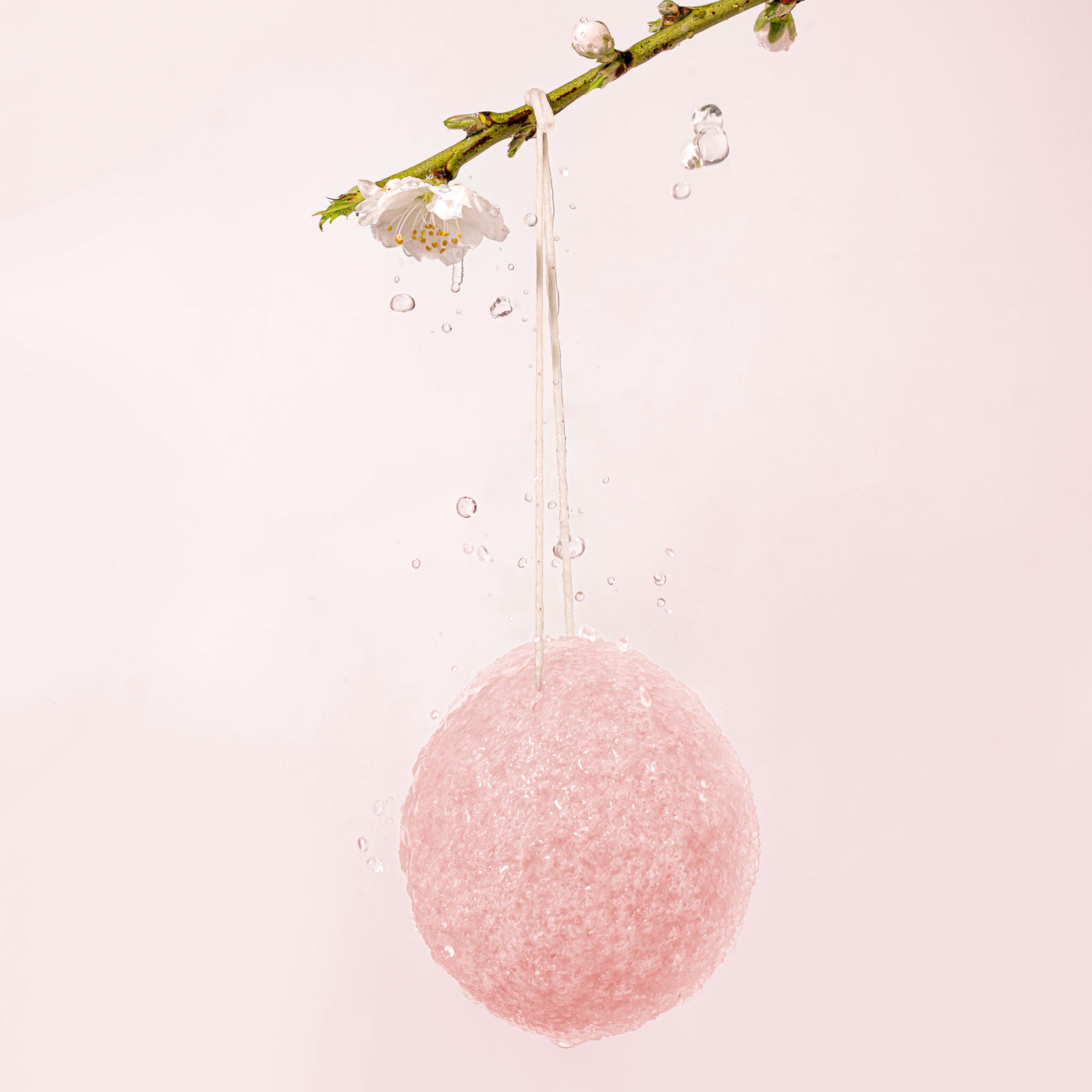 konjac sponge made in Japan Gently exfoliates and cleanses skin, with a soft, bouncy pudding like texture when soaked in water, cherry blossom Konjac Sponge