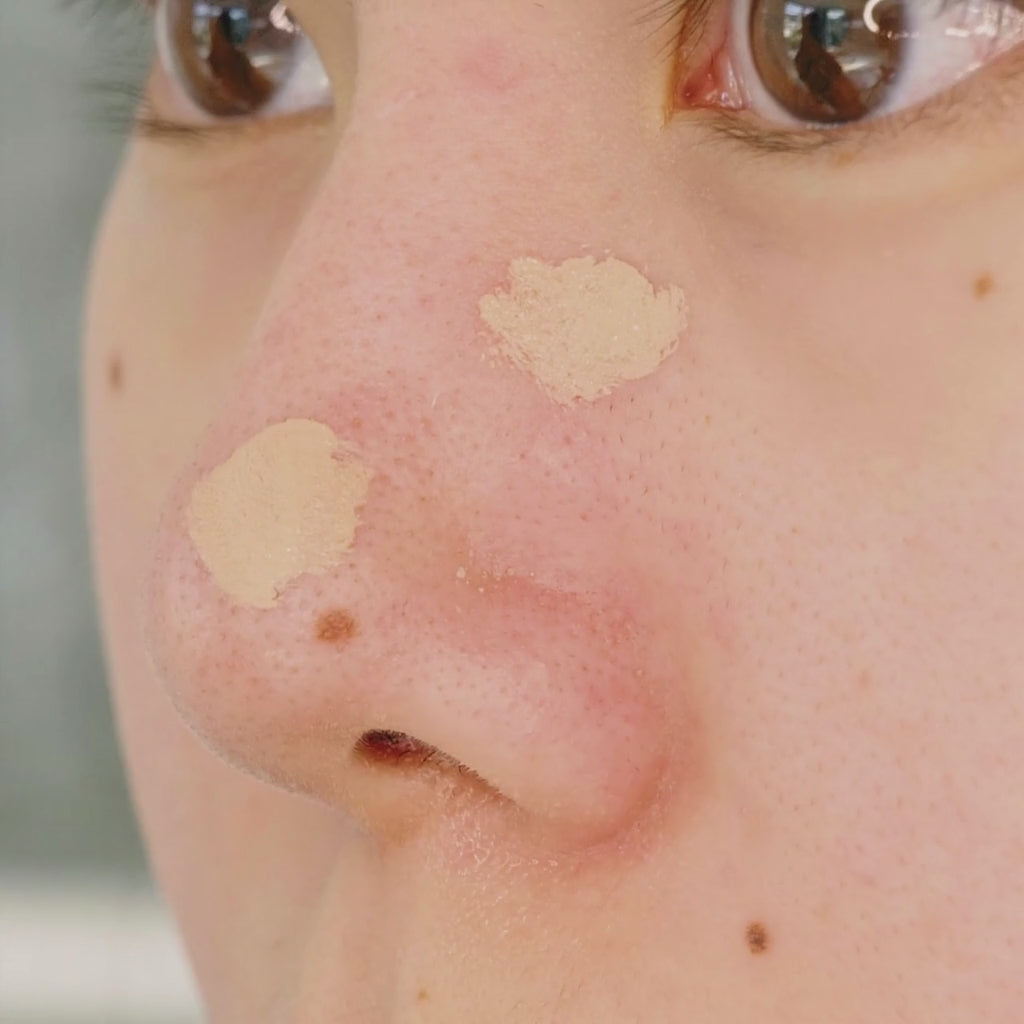 Instant Cloud Skin Make Up Brush